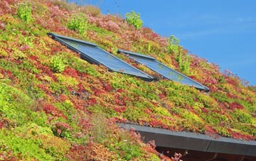 Oakshott living roof systems