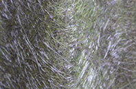 Oakshott fibreglass roof work